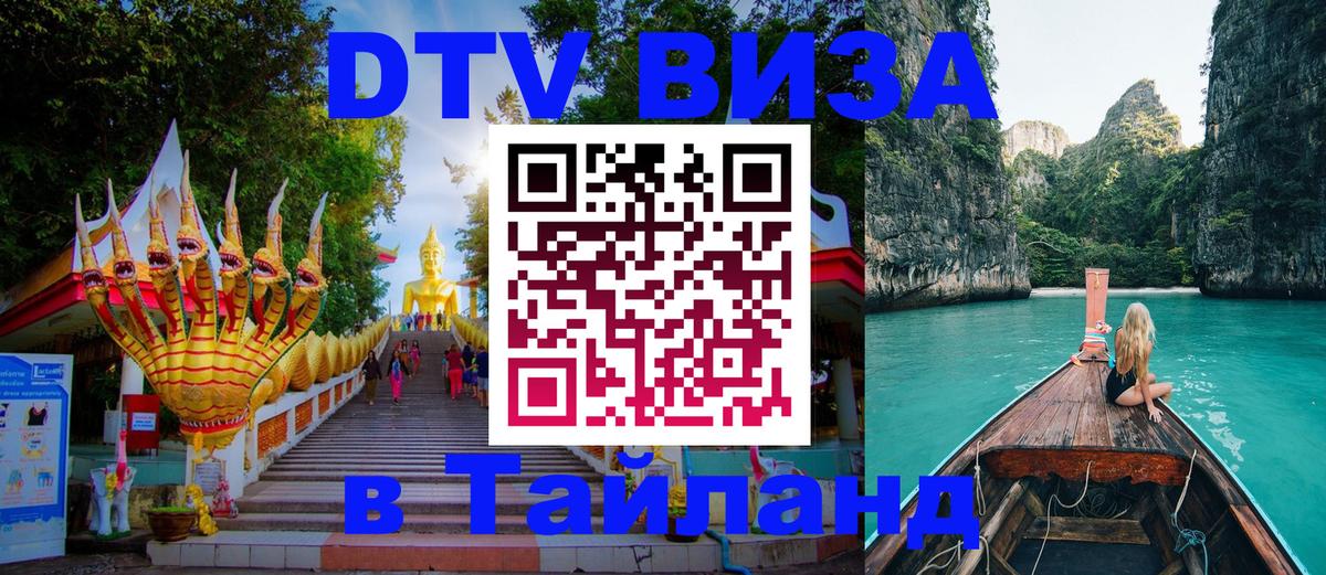 Оформление DTV визы под ключ: стоимость и тарифы, только загранпаспорт - 